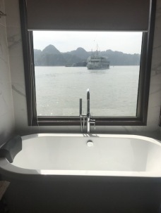 View from the boat - bathroom - Doris Cruise
