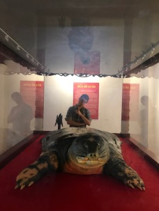 Hoan Kiem Lake turtle - Hanoi